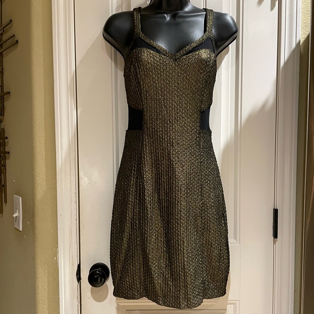 Express Gold & Black Party Dress
